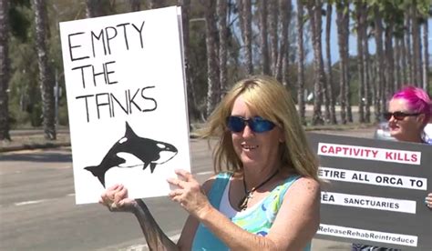 Activists protest outside SeaWorld, renewing calls to free Corky the orca whale